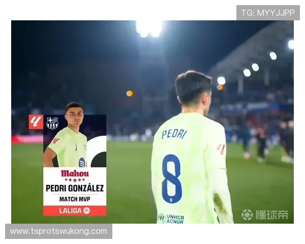 佩德里大赛表现稳定性与关键战贡献争议