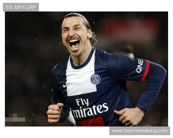 伊布与苏亚雷斯进攻转换偏移下的单点驱动差异