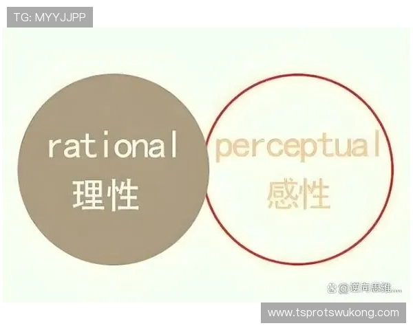 卡马文加位置角色与组织贡献的辩证分析