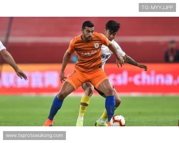 厄德高为何评价两极分化 战术价值与赛场表现差距解析